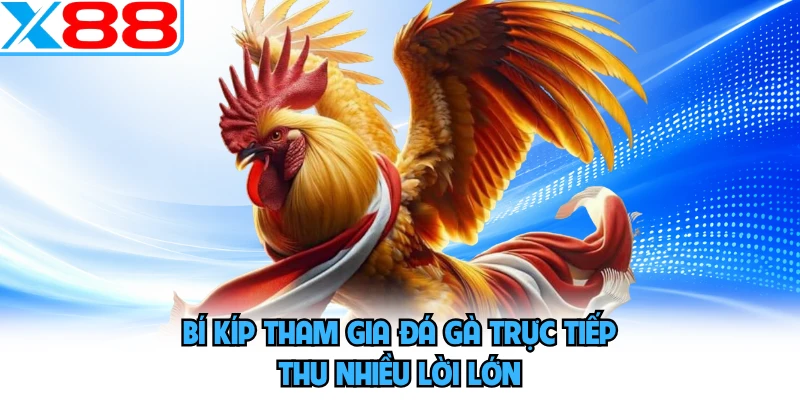 Đá Gà Trực Tiếp X88 - Bùng Nổ Cảm Xúc Thăng Hoa Cuồng Nhiệt - WINVORO96.INK