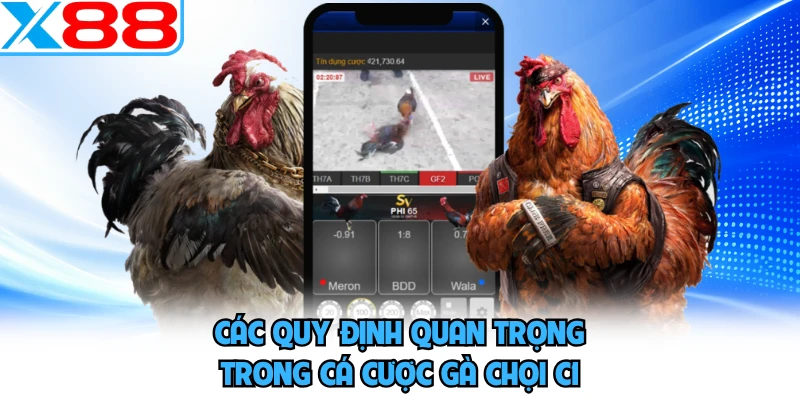 Gà Chọi C1 - Sới Gà Trực Tuyến Đẳng Cấp Và Uy Tín Tại X88 - WINVORO96.INK