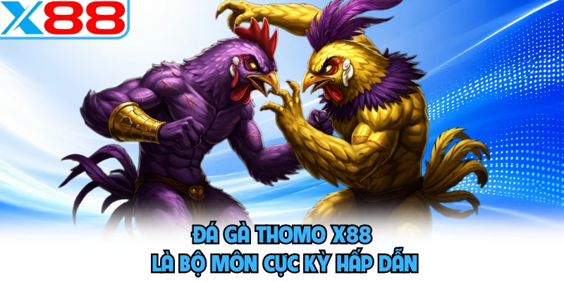 Đá Gà Thomo X88 - Sân Chơi Chọi Gà Chuyên Nghiệp Nhất - WINVORO96.INK