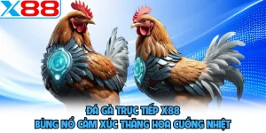 Đá Gà X88 - Phô Diễn Sức Mạnh, Khuấy Đảo Mọi Đấu Trường - WINVORO96.INK