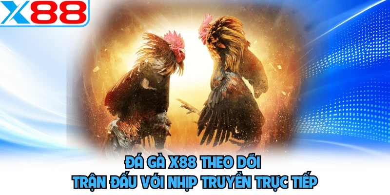 Đá Gà X88 - Phô Diễn Sức Mạnh, Khuấy Đảo Mọi Đấu Trường - WINVORO96.INK