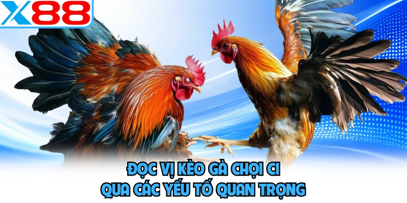 Gà Chọi C1 - Sới Gà Trực Tuyến Đẳng Cấp Và Uy Tín Tại X88 - WINVORO96.INK