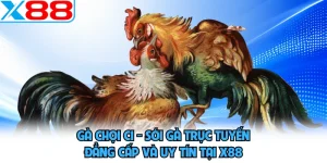 Đá Gà X88 - Phô Diễn Sức Mạnh, Khuấy Đảo Mọi Đấu Trường - WINVORO96.INK