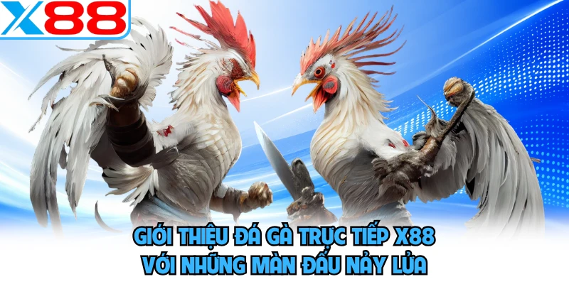 Đá Gà Trực Tiếp X88 - Bùng Nổ Cảm Xúc Thăng Hoa Cuồng Nhiệt - WINVORO96.INK