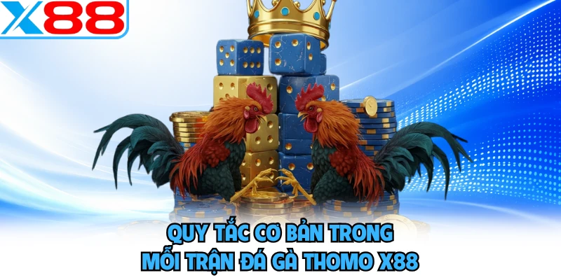 Đá Gà Thomo X88 - Sân Chơi Chọi Gà Chuyên Nghiệp Nhất - WINVORO96.INK