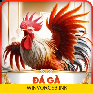 X88 Etoeko ⭐️ Trang Chủ Đăng Nhập X88.COM Chính Thức 11/2026 - WINVORO96.INK